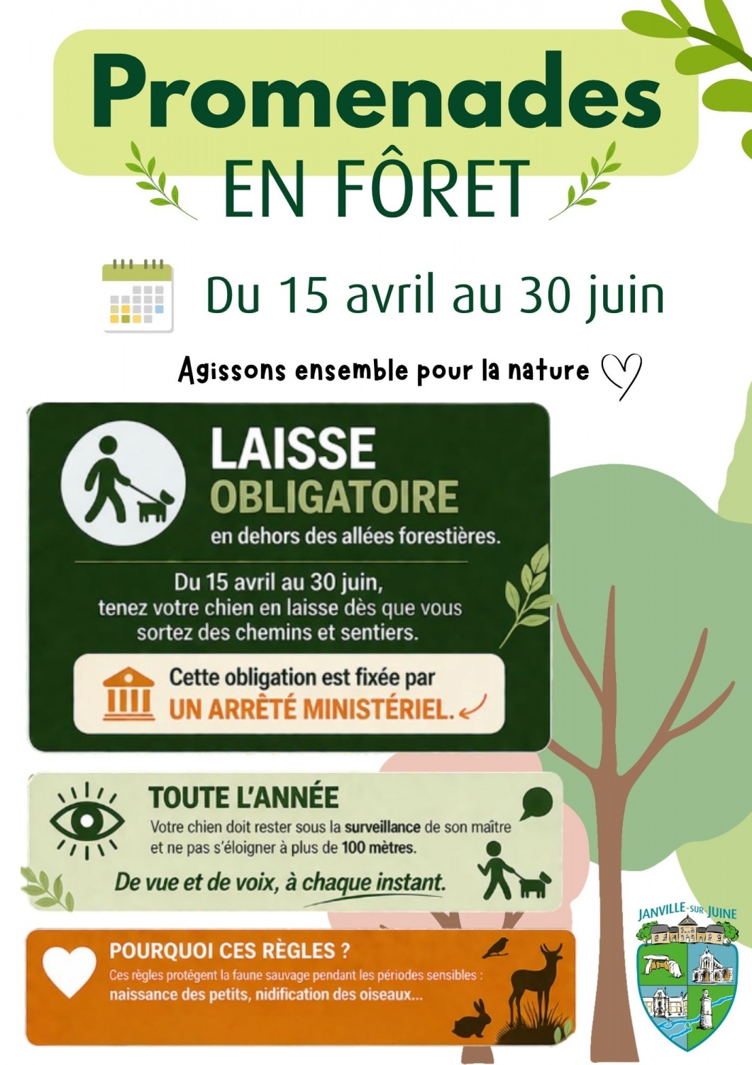 promenade-en-foret-k0pksy.jpg